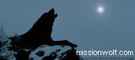 mission wolf sanctuary